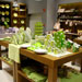 Visual merchandising