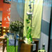 Visual merchandising